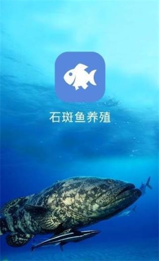 石斑鱼养殖安卓直装版图1