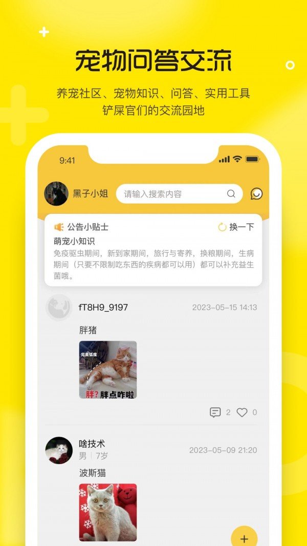 宠宝正版图4