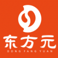 东方元安卓直装版