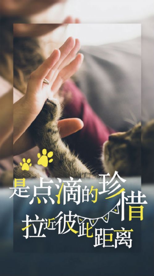 kok无广告版图3