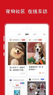小奇智宠最新版图2