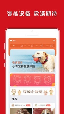 小奇智宠最新版图3
