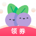 蓝莓日记通用版