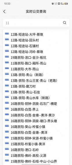 崇阳公共出行正版图2