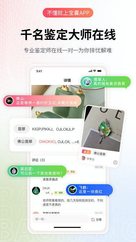 宝囊官方正版图2