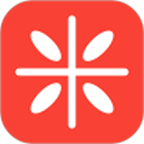 报米花原版