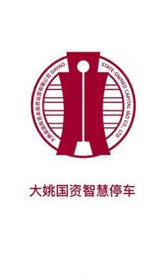 大姚国资智慧停车安卓直装版图2