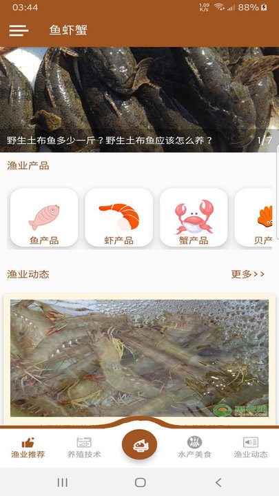 鱼虾蟹安卓版图1