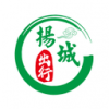 扬城出行手机版