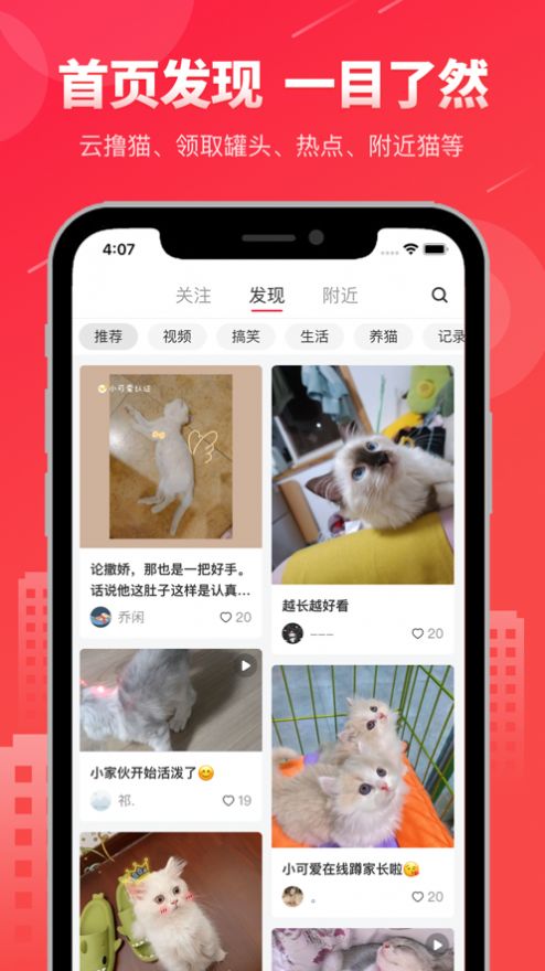 宠友社区原版图2