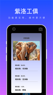 紫洛工俱最新免费版图2