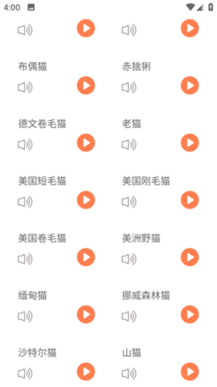 仓鼠翻译器(1)