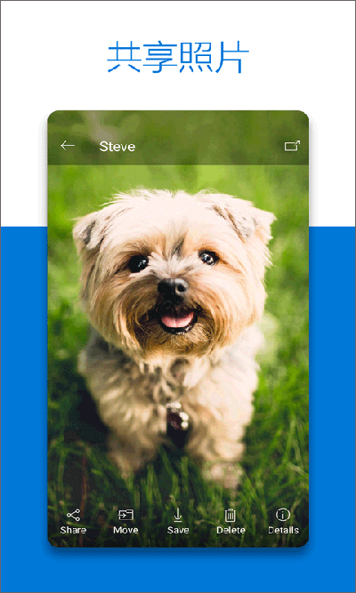 OneDrive2026安卓直装版图4