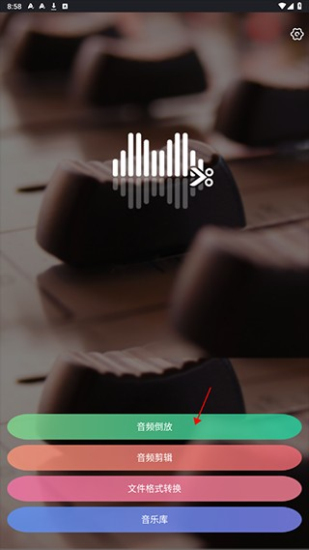 reversevoice软件最新版图4