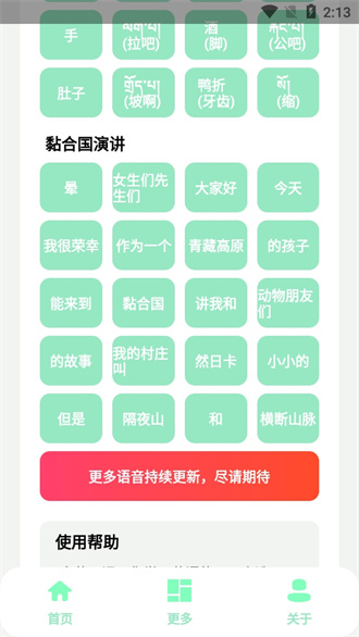 丁真盒通用版图1