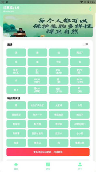 丁真盒通用版图3