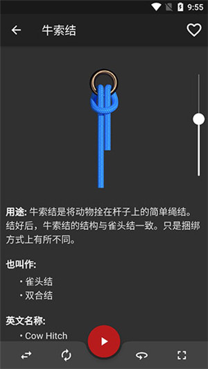 knots3D直装版