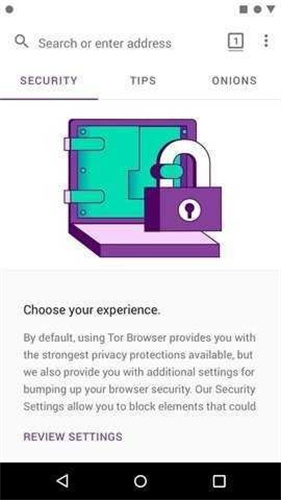 洋葱tor手机正版图2