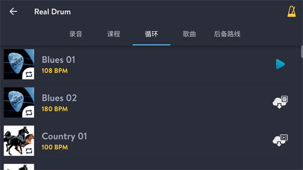 RealDrum官方最新版图8