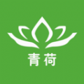 青荷健康手机免费版