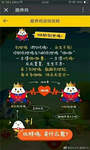 趣养鸡正版图4