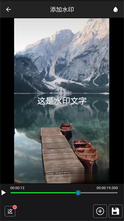 视频去水印工厂直装版图4