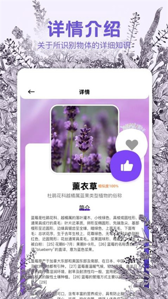 识物相机