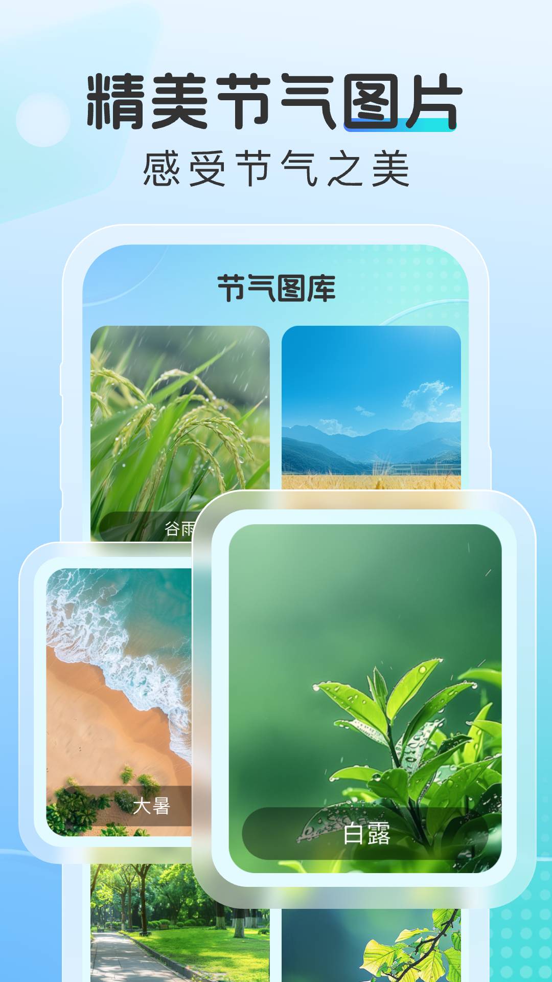 晴云指南无广告版图1