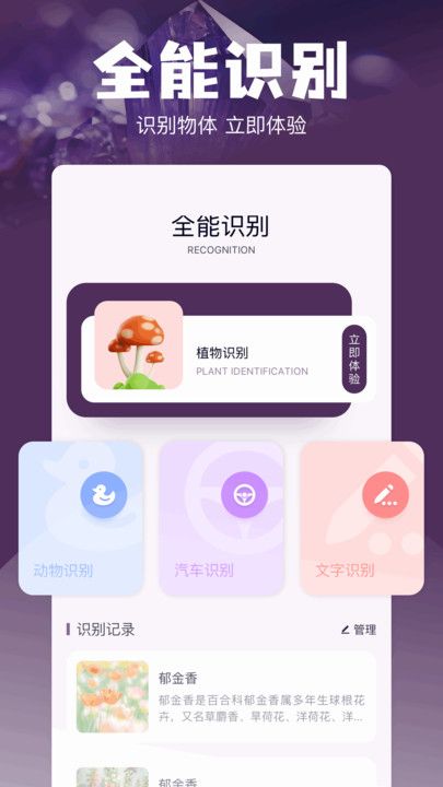 Magi工具箱安卓版图3
