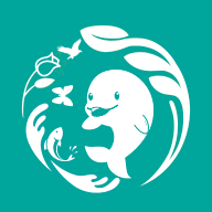 南通生物脸谱免费原版