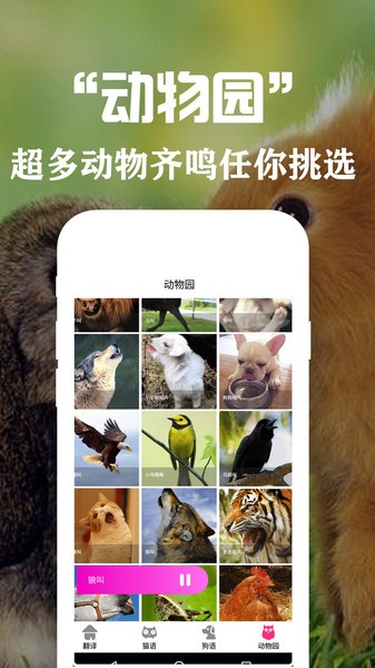 狗语翻译交流器2026版