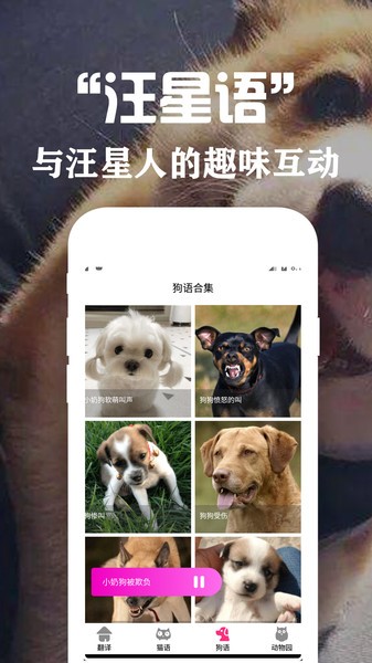 狗语翻译交流器2026版