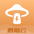 蘑菇云通用版