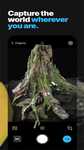 RealityScan最新版图3