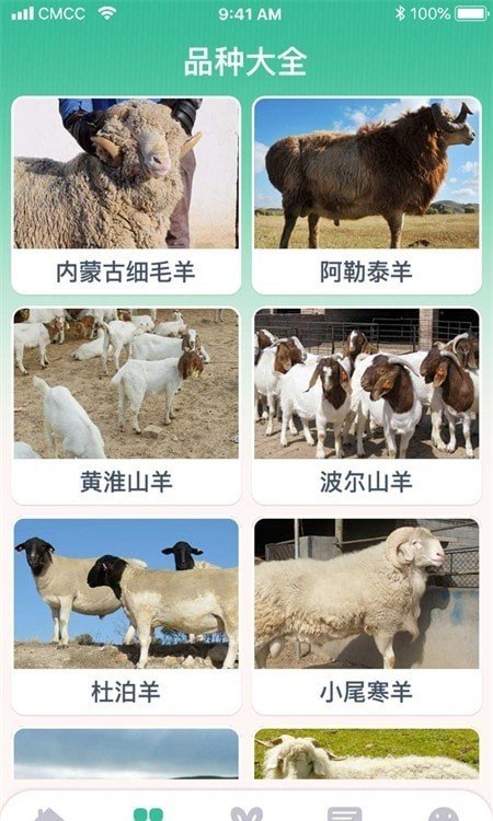 养羊指南最新免费版