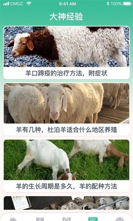 养羊指南最新免费版