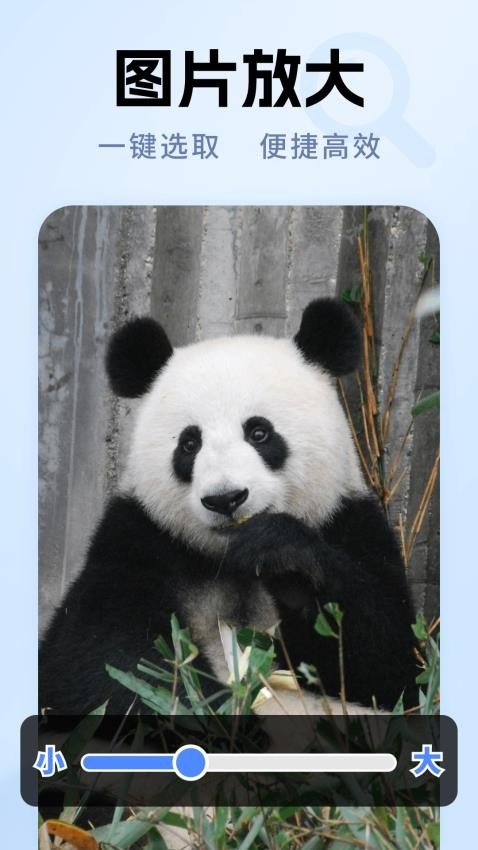 老年放大镜专家最新版图2