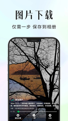 飞速去水印最新免费版图2