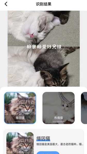 花草识图师官方最新版图3