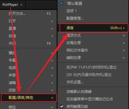 potplayer播放器TV版图8