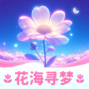 花海寻梦官方最新版