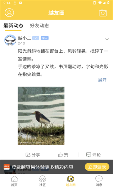 越容易免费版图4
