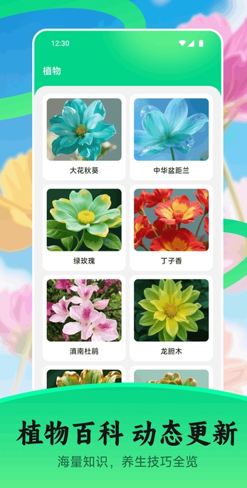 花苞手机最新版图4