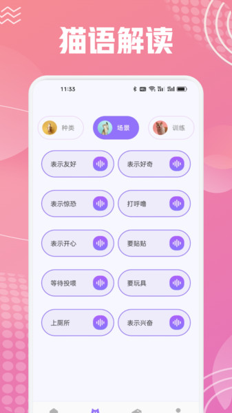 开心猫舍喵语官方最新版图1