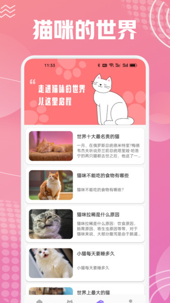 开心猫舍喵语官方最新版图2