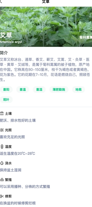 炎焱绿植安卓直装版图1