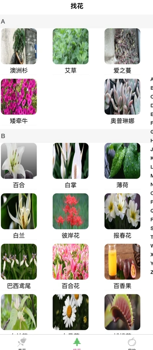 炎焱绿植安卓直装版图2