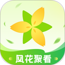 风花聚看官方正版
