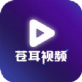 苍耳视频手机最新版