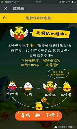 趣养鸡正版图1